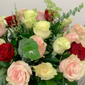 Mixed Roses